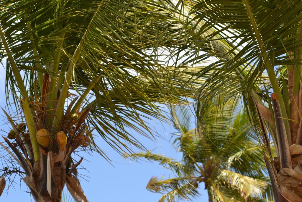 Lindbergh Bay Hotel Altona Luaran gambar